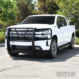 Westin 2019 Chevrolet Silverado 1500 HDX Grille Guard - Black - 57-3955