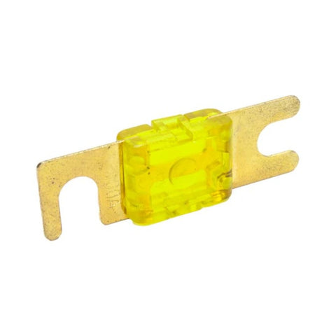 Snow 100 Amp Fuse - SNF-25012