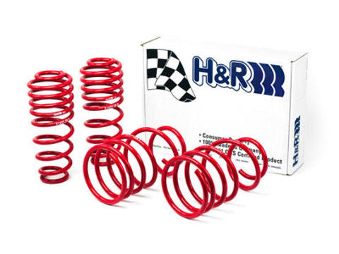 H&R 05-09 Ford Mustang/Convertible/GT/Shelby GT/Shelby GT-H V6/V8 Race Spring - 51655-88