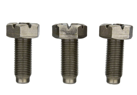 Ford Racing 4.6L Manual Flywheel Bolts - M-6379-B