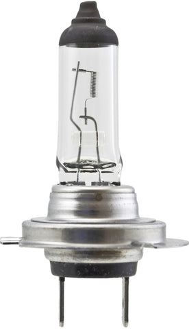 Hella High Wattage Bulb H7 12V 100W PX26d T4.6 - H7 100W