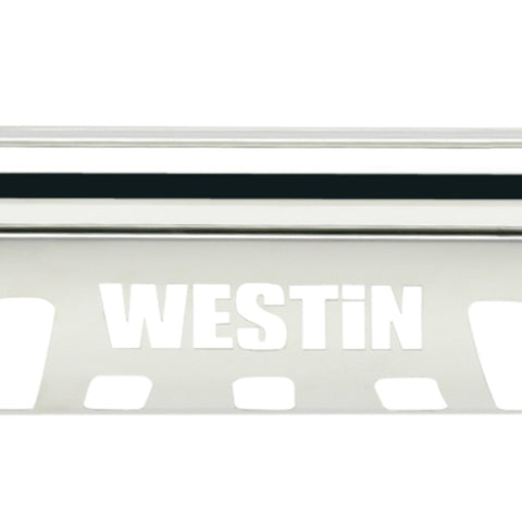 Westin 2015-2018 Ford F-150 E-Series Bull Bar - SS - 31-5990