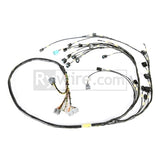 Rywire Honda K24 Mil-Spec Harness w/K24 Knock/Crank Sensor (D/S Only / Note Injectors/VSS on PO) - RY-K24-MILSPEC