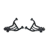 Ridetech 70-81 GM F-Body StrongArms Front Lower - 11172899