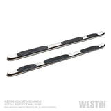 Westin 2019 Chevrolet Silverado Crew Cab PRO TRAXX 5 W2W Oval Nerf Step Bars - Stainless Steel - 21-534690