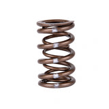 Skunk2 Pro Series Honda/Acura K-Series i-VTEC XP Valve Spring Set (Dual Springs) - 311-05-7380