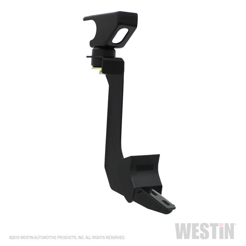 Westin 2019 Ram 1500 Crew Cab PRO TRAXX 5 W2W Oval Nerf Step Bars - Stainless Steel - 21-534700