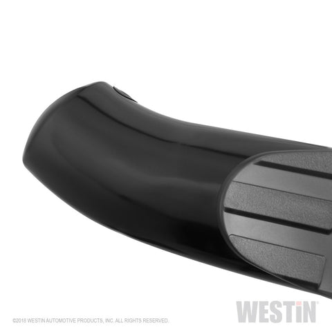 Westin 2019 Ram 1500 Crew Cab (Excl. 1500 Classic) PRO TRAXX 4 Oval Nerf Step Bars - SS - 21-24085