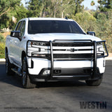 Westin 2019 Chevrolet Silverado 1500 Sportsman Grille Guard - Black - 40-3955