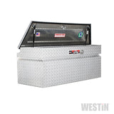 Westin/Brute 49in Commercial Class - Aluminum - 80-RB4919