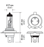 Hella H4 24V 75/70W P43t T4.625 Halogen Bulb (Min Order Qty 10) - H4 24V