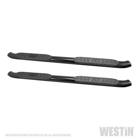 Westin 2019 Ram 1500 Crew Cab (Excl. 1500 Classic) PRO TRAXX 4 Oval Nerf Step Bars - SS - 21-24085