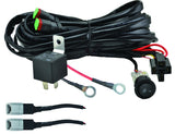 Hella ValueFit Wiring Harness for 2 Lamps 300W - 357211011