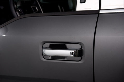 Putco 17-20 Ford SuperDuty - 2 Door w/ Driver Keyhole Door Handle Covers - 401065