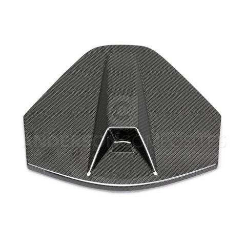 Anderson Composites 20-21 Chevrolet Corvette C8 OE Carbon Fiber Decklid Housing (w/ Backup Camera) - AC-DA20CHC8-C