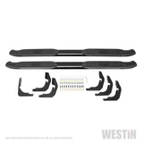 Westin 2019 Ram 1500 Crew Cab (Excl. 1500 Classic) PRO TRAXX 4 Oval Nerf Step Bars - SS - 21-24085