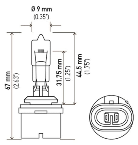 Hella Bulb 892 12V 16W Pg13 T325 - 892