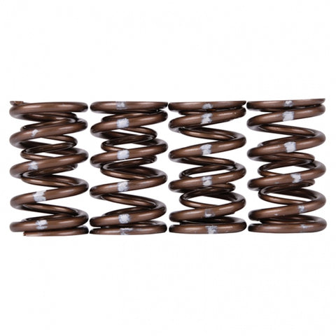 Skunk2 Pro Series Honda/Acura K-Series i-VTEC XP Valve Spring Set (Dual Springs) - 311-05-7380