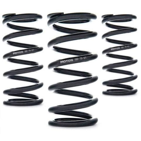 AST Linear Race Springs - 80mm Length x 160 N/mm Rate x 61mm ID - Set of 2 - AST-80-160-61