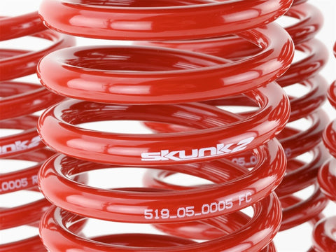 Skunk2 92-95 Honda Civic/Del Sol Lowering Springs (2.50in - 2.25in.) (Set of 4) - 519-05-1480