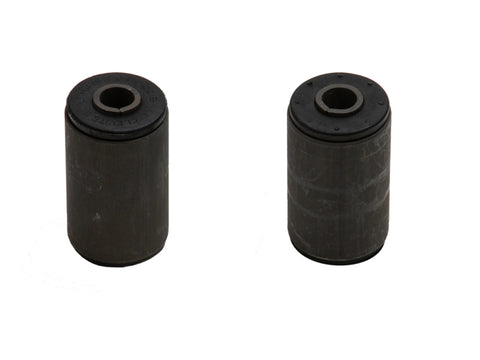 ICON Leaf Spring Rear Eyelet Bushing Kit (99-04) - 611011