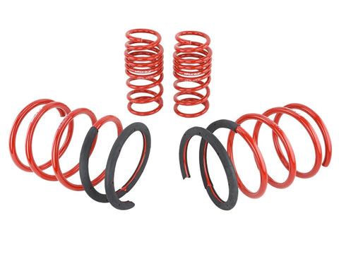 Skunk2 02-04 Acura RSX Lowering Springs (2.25in - 2.00in.) (Set of 4) - 519-05-1670