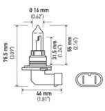 Hella Bulb 9005 12V 65W P20D T4 +50 - 9005P50