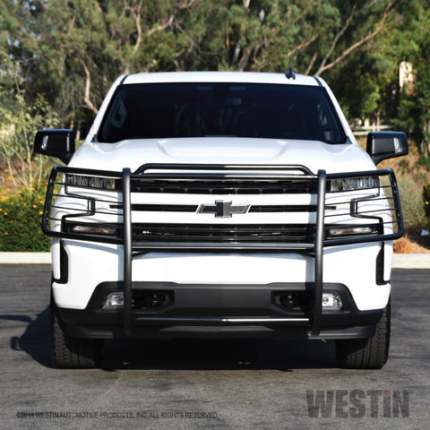 Westin 2019 Chevrolet Silverado 1500 Sportsman Grille Guard - Black - 40-3955