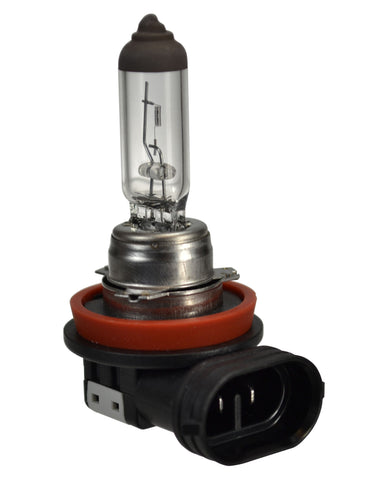 Hella H16 Halogen Bulb - 186996013