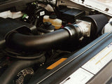 Airaid 97-03 Ford F-150/97-04 Expedition 4.6/5.4L CL Intake System w/ Tube (Dry / Black Media) - 402-109