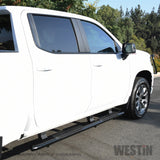 Westin 2019 Chevrolet Silverado/Sierra 1500 Crew Cab Non LD PRO TRAXX 4 Oval Nerf Step Bars - Black - 21-24135