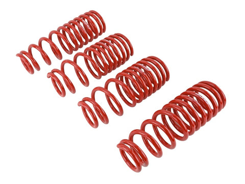 Skunk2 92-95 Honda Civic/Del Sol Lowering Springs (2.50in - 2.25in.) (Set of 4) - 519-05-1480