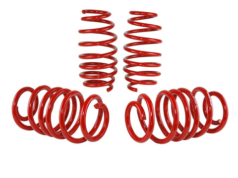 Skunk2 12 Honda Civic Lowering Springs (2.25 - 2.00in) (Set of 4) - 519-05-1585