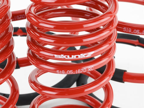 Skunk2 02-04 Acura RSX Lowering Springs (2.25in - 2.00in.) (Set of 4) - 519-05-1670