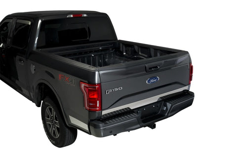 Putco 15-17 Ford F-150 - Stainless Steel - Lower Tailgate Accent - 1 pc Tailgate Accents - 403465