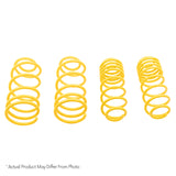 ST Sport-tech Lowering Springs BMW Z3 Coupe+Roadster; non M - 65430