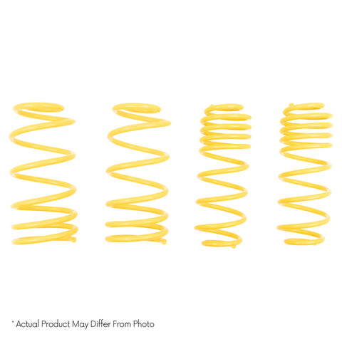 ST Muscle Car Springs Ford Mustang /Mercury Capri Up to 1989 - 68100