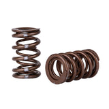 Skunk2 Pro Series Honda/Acura K-Series i-VTEC XP Valve Spring Set (Dual Springs) - 311-05-7380