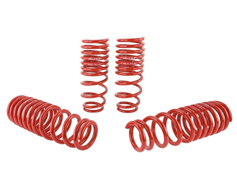 Skunk2 92-95 Honda Civic/Del Sol Lowering Springs (2.50in - 2.25in.) (Set of 4) - 519-05-1480