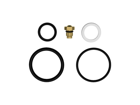 ICON 2.5 IFP Rebuild Kit - Viton - 252010-V