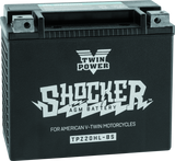 Twin Power YTX-20HL Shocker Battery Replaces H-D 65989-97A - 781154