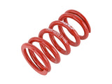 Skunk2 Universal Race Spring (Straight) - 6 in.L - 2.5 in.ID - 10kg/mm (0600.250.010S) - 521-99-1000