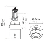 Hella Bulb 9004 12V 65/45W P29T T4625 +50 - 9004P50