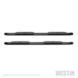 Westin 2019 Ram 1500 Crew Cab (Excl. 1500 Classic) PRO TRAXX 4 Oval Nerf Step Bars - SS - 21-24085