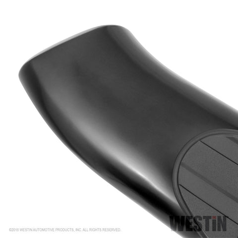 Westin 2019 Ram 1500 Quad Cab (Excl Classic) PRO TRAXX 5 Oval Nerf Step Bars - Black - 21-54095