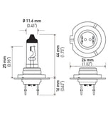 Hella High Wattage Bulb H7 12V 100W PX26d T4.6 - H7 100W