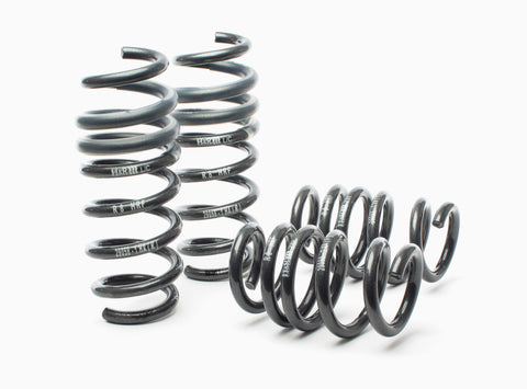 H&R 08-15 Audi R8/R8 Cabrio V8/V10 Sport Spring - 29058-1