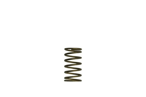 Turbosmart WG60 Gen-V 3psi Inner Spring - TS-0550-3089