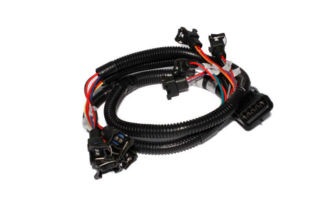 FAST Injector Harness Ev1 289302 - 301204