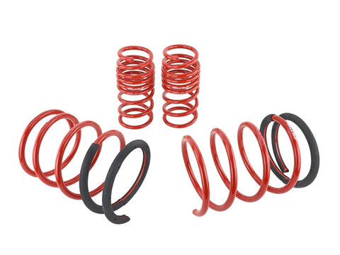 Skunk2 05-06 Acura RSX Lowering Springs (2.25in - 2.00in.) (Set of 4) - 519-05-1672